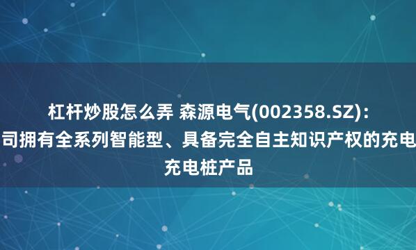杠杆炒股怎么弄 森源电气(002358.SZ)：目前公司拥有全系列智能型、具备完全自主知识产权的充电桩产品