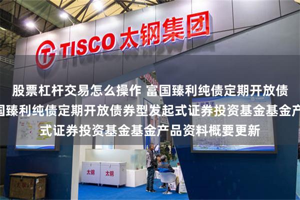 股票杠杆交易怎么操作 富国臻利纯债定期开放债券型发起式: 富国臻利纯债定期开放债券型发起式证券投资基金基金产品资料概要更新
