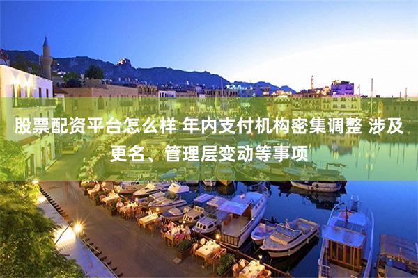 股票配资平台怎么样 年内支付机构密集调整 涉及更名、管理层变动等事项