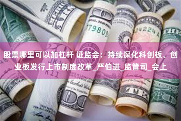 股票哪里可以加杠杆 证监会：持续深化科创板、创业板发行上市制度改革_严伯进_监管司_会上
