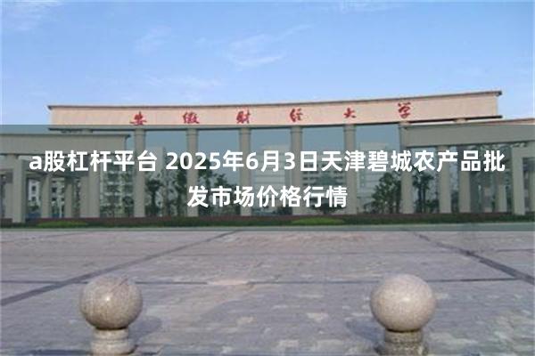 a股杠杆平台 2025年6月3日天津碧城农产品批发市场价格行情