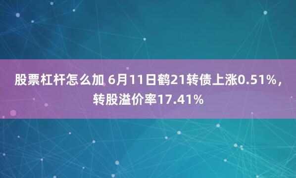 股票杠杆怎么加 6月11日鹤21转债上涨0.51%，转股溢价率17.41%